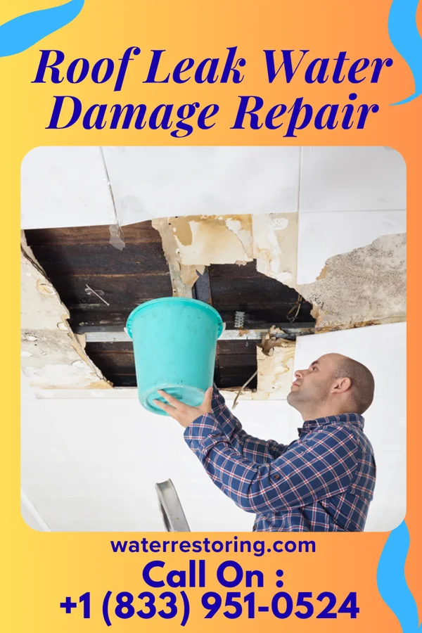 Roof Leak Water Damage Repair in East Bronson, FL