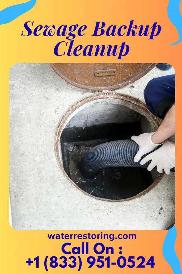 Sewage Backup Cleanup in East Bronson, FL
