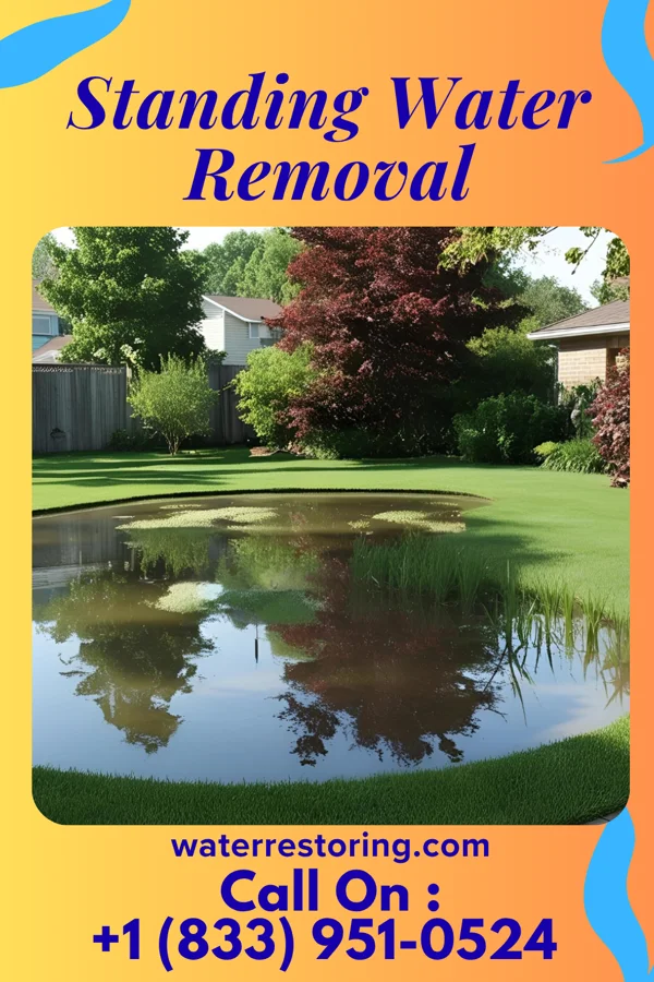 Standing Water Removal in East Bronson, FL